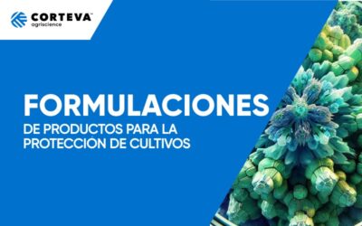 Formulaciones
